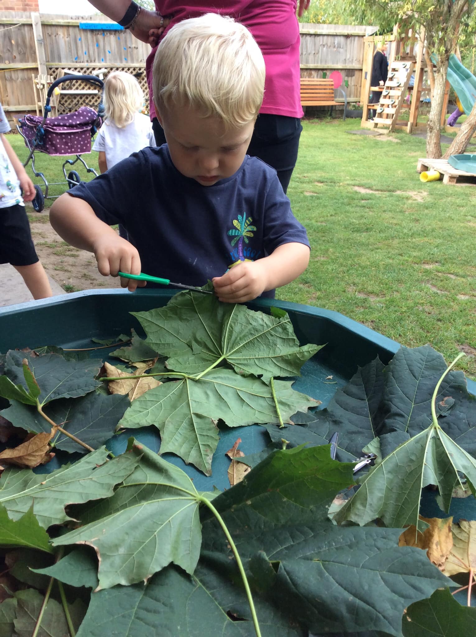 Child outdoors cutting leaves